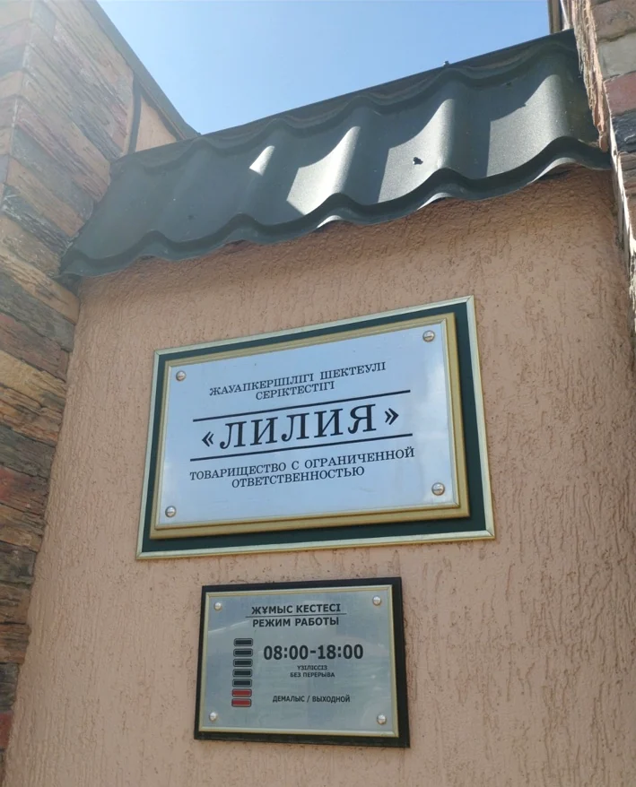 Вывеска детского сада Лилия